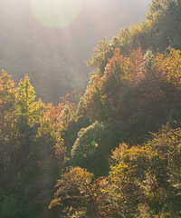 �㽭��10��С�ں��ŵ�����������Ϣ