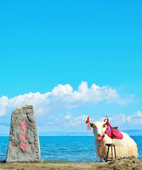 �й����ʺϴ���ĸ���ε�20���ط��������ղ�