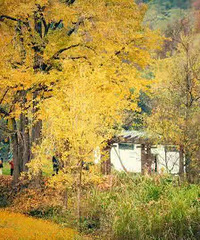 ���߲����Ž֡���ɽ��������