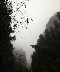 ���ɾӣ���������������ɾ�