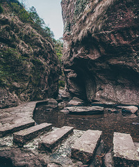 �Ǹ������ң������˵ĸ���������ԤԼ��Ʊ���