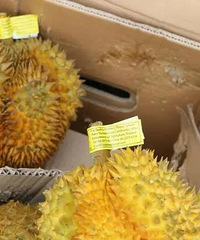 20���������������飬�ֳ�̫"����"��