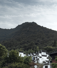 ���ǵ�����̫���ˣ�12������ɽһ��Ҫ����15��С��