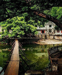 ������Ʊ���������ң�һ��������ɹ����Ľ�������