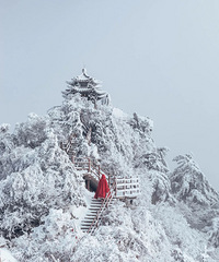 ���ǧ��Ŷ���ѩһ�䣬ֱ�����������ѣ�