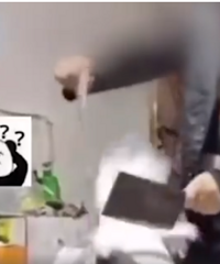 ���޳��ܣ��ɷ��ò˵�����Ů����ҵ��Ů����һ���������