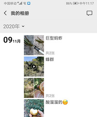 ϲ����ɽ����һ��Ϣ�����Ҹ����һ��