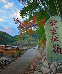 ���ˣ��ٺ���弹ŵ��Ϸ�Ҷ���ˡ���