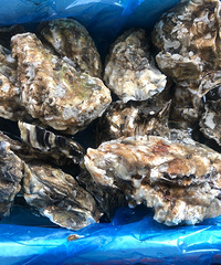 ��ɽ��������򵥣���ѹ��15���ӽ��