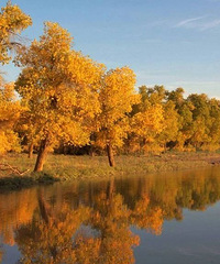 ֻҪѡ�������еأ���������ߵġ���������ָ�ϡ�