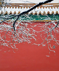 �й��Ĵ���ݣ��ҽ�����һ��Ҫȥ����