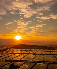 �ӹŴ嵽�������������ﶬ������ĩ�Σ��Ķ��ˣ�