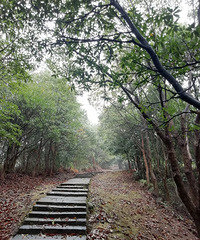 ���ſڵľŷ�ɽ��Ϊ���������˵�ɽЬ