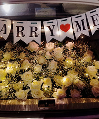 ���յ޽� �ؽ�֮�á�2020����ռǡ�