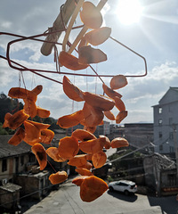 �������ӱ������������ζ���н���