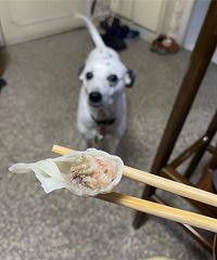 ������ͷϺ�ʺ���¶or����ˮ��-8ë��