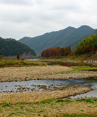 ͩ�Ӻ�����ɹͼ����