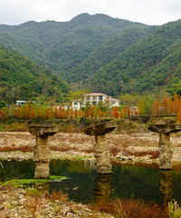 ͩ�Ӻ�����ɹͼ����