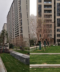 �о�������ǰ������