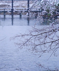 һ��ѩ�����ݾ��������ٰ�