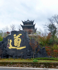 ��ҹ���ֻΪ�ʵ� ��������ɽ�μ�