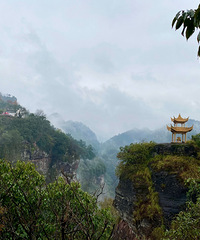 ��ҹ���ֻΪ�ʵ� ��������ɽ�μ�