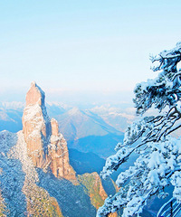 ̨�ݵġ����Ͽ���˹����һ�����첣���Ż�������