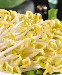 ̨������һ��ʳƷ��ȫ��죬20���β��ϸ�