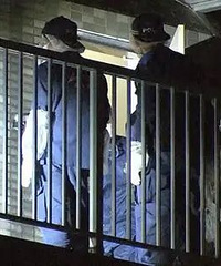 �ӿ���̫����90��ĸ����4����Ӥ���Ž�����