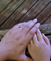 �պ������㡾2020����ռǡ�