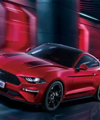 11���ٻؽ����������������ˡ�����������ȫ���У�