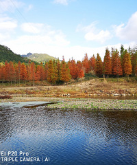 ȥС֥�ϼ����棬����ʤ�Ӻ�������������