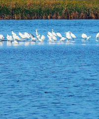 �㽭7��С���־�������«ʤ�أ�Ũ����������������