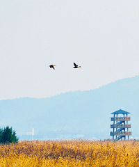 �㽭7��С���־�������«ʤ�أ�Ũ����������������