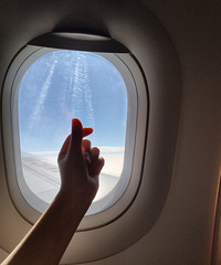 ������/��ֶ��顿���������ɰأ�һ�Ѻ켦��and��ͷ����