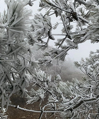 ������ѩ�ˣ�����Ľ������̨��ӭ������������һ����ڡ