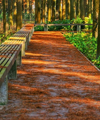 ���˺��ˣ��ٺ�����ط�ӭ����ֵ�۷壬�ٲ�ȥ�����ˣ�