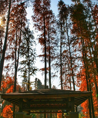 ���˺��ˣ��ٺ�����ط�ӭ����ֵ�۷壬�ٲ�ȥ�����ˣ�