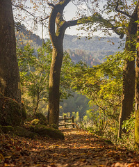 �������ŵ����������������������ں��ˣ�