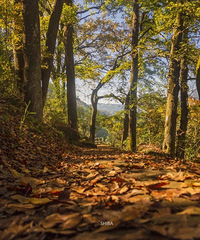 �������ŵ����������������������ں��ˣ�