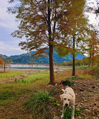 ���ҳ�̶ˮ�����������֣�̫����