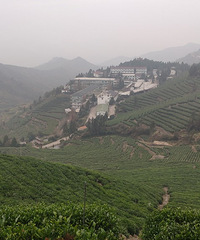 ���Ļ�����ʳ���У��г̺���