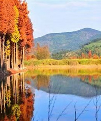 ���۸��᡿����侲���Ǻ��ǻ���