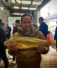 �㽭���񲶻�1500���Ұ������㣡ר�ң����������飡