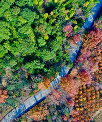 ����£�̨����Щ�������������ˣ�