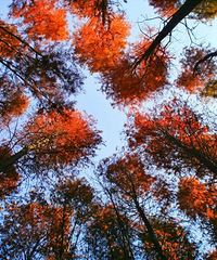 ����£�̨����Щ�������������ˣ�