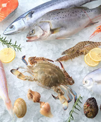 ���㽭���������ʳƷ������ϸ�˶���������������һ��ֱ�Ӿٱ���