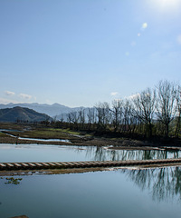 ����ɽɫ������ ����̶�����뻭��