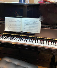 ����þã����ջ���ѡ���˶��ֵ�YAMAHA���١���������ɶ��