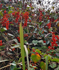 ���۸��᡿�ȾƺͲ��ȾƵ��ˣ�˭�����������������һ���Ⱦ���